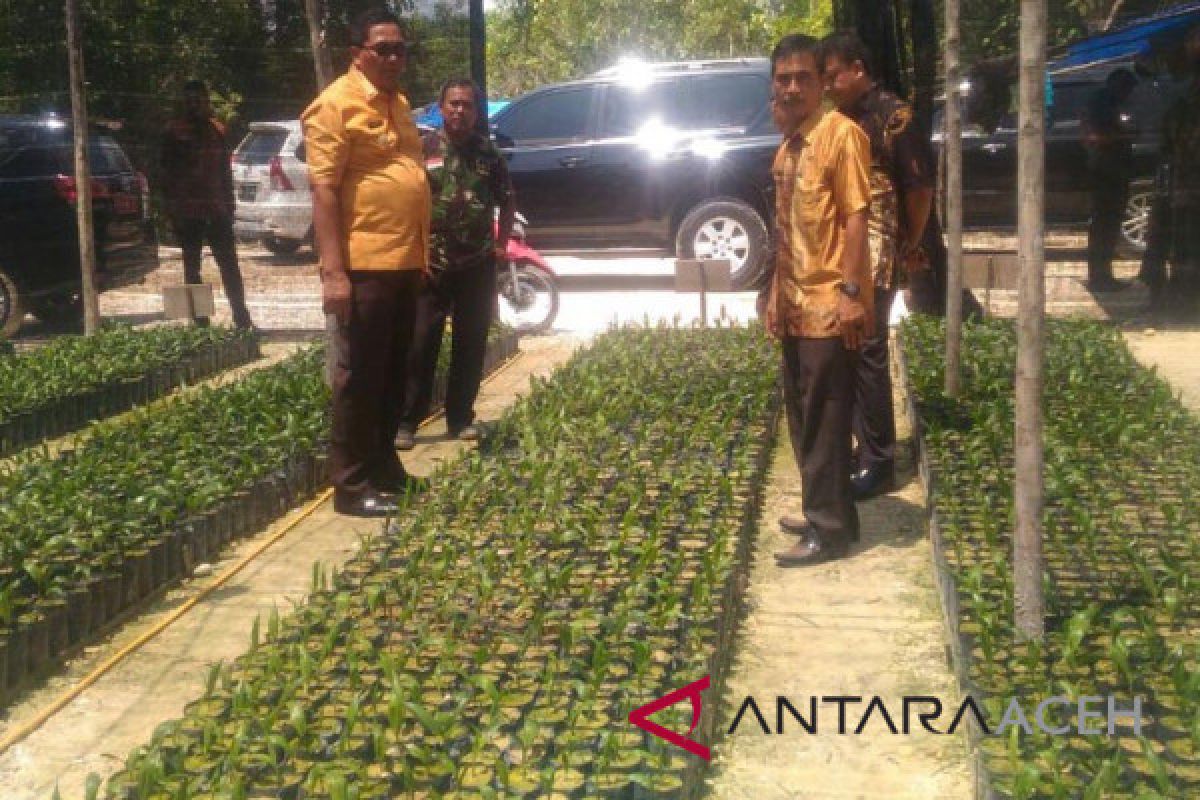 Aceh Barat remajakan 1.110 hektare sawit rakyat