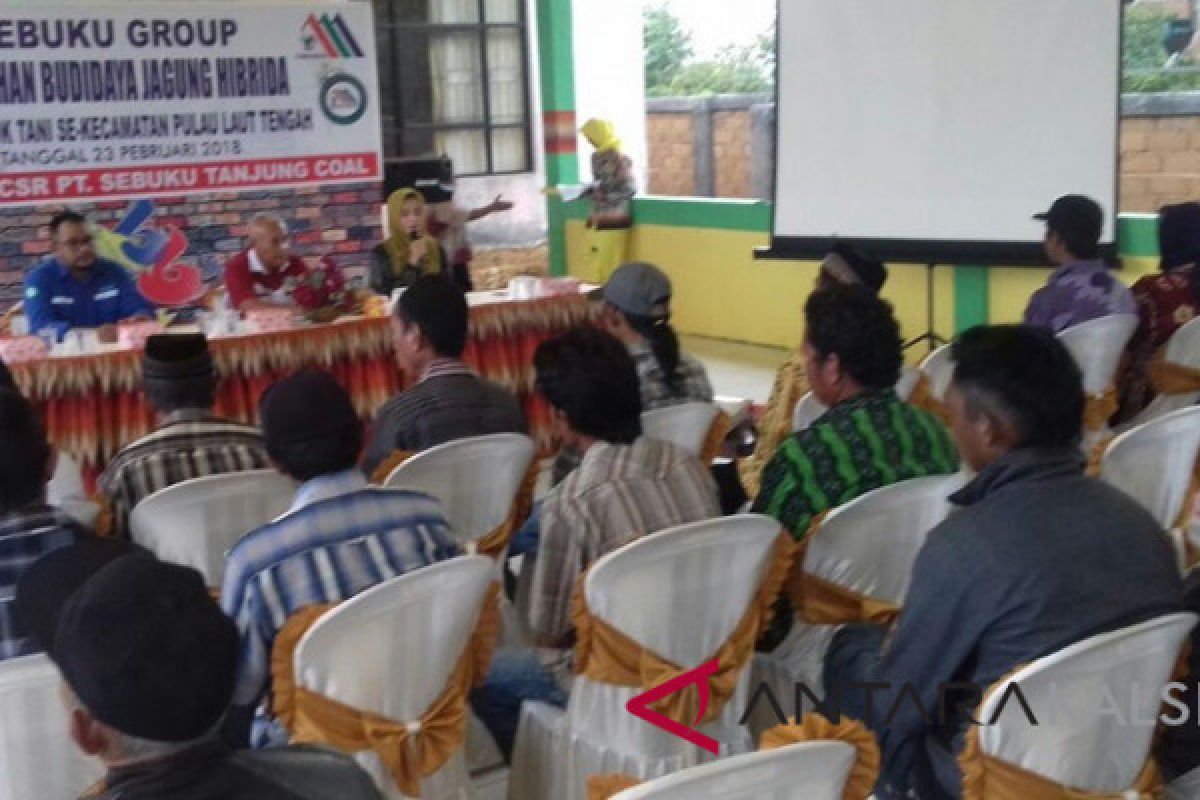 Sebuku Group Latih Petani Budidayakan Jagung