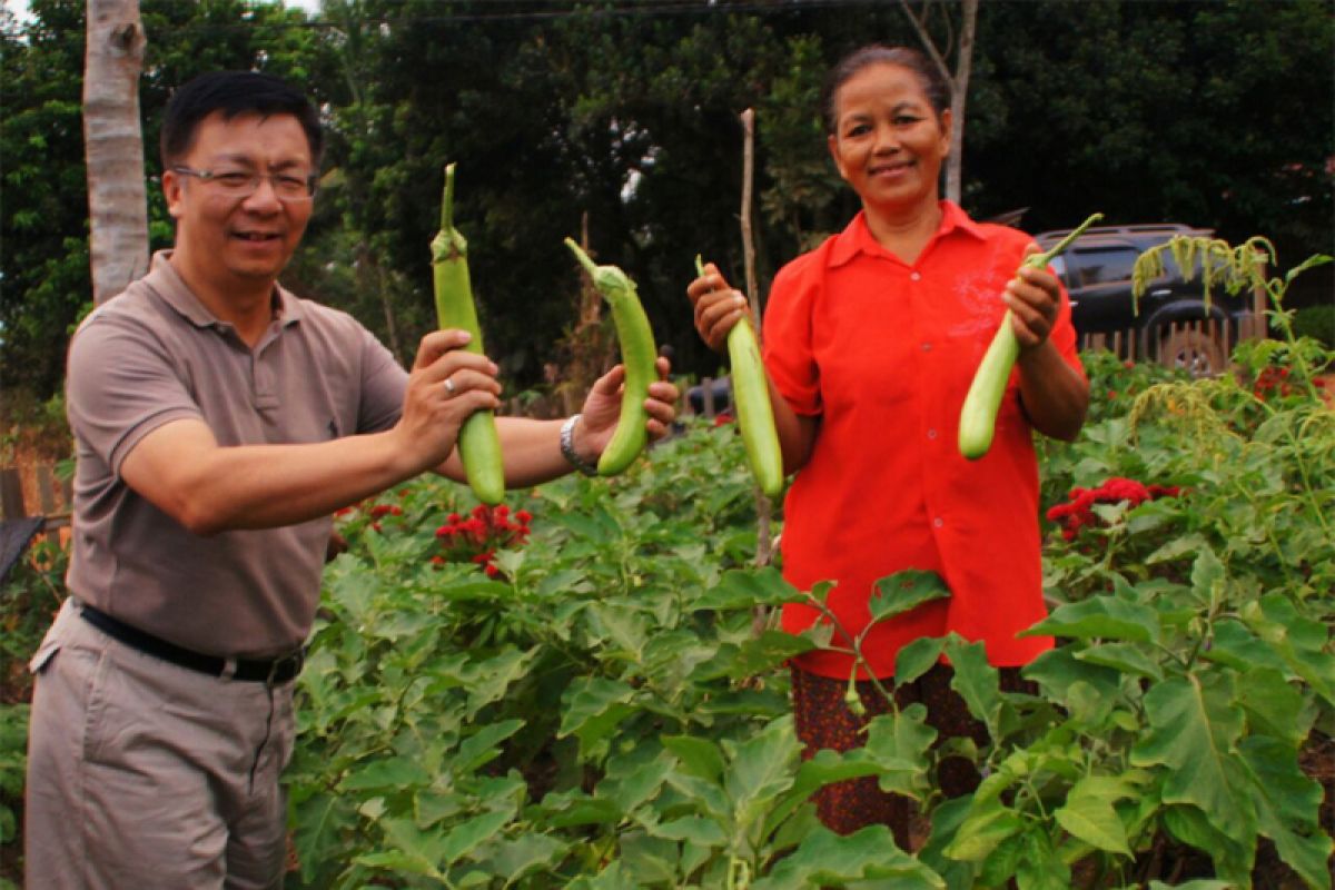 Program DMPA ajarkan bertani tanpa bakar lahan