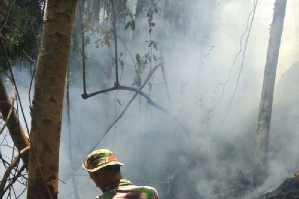 Hutan Tapsel ter (di) bakar