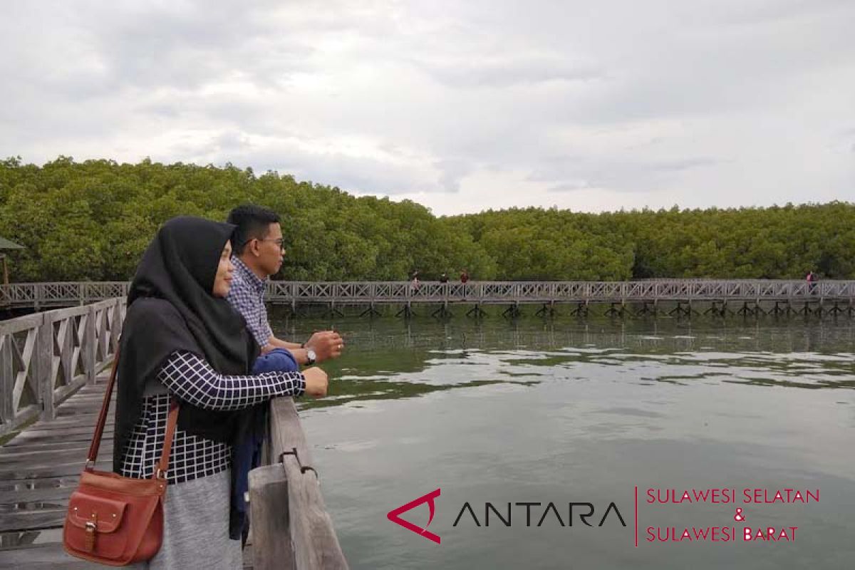 Hutan bakau Tongke-Tongke andalan wisata Sulsel