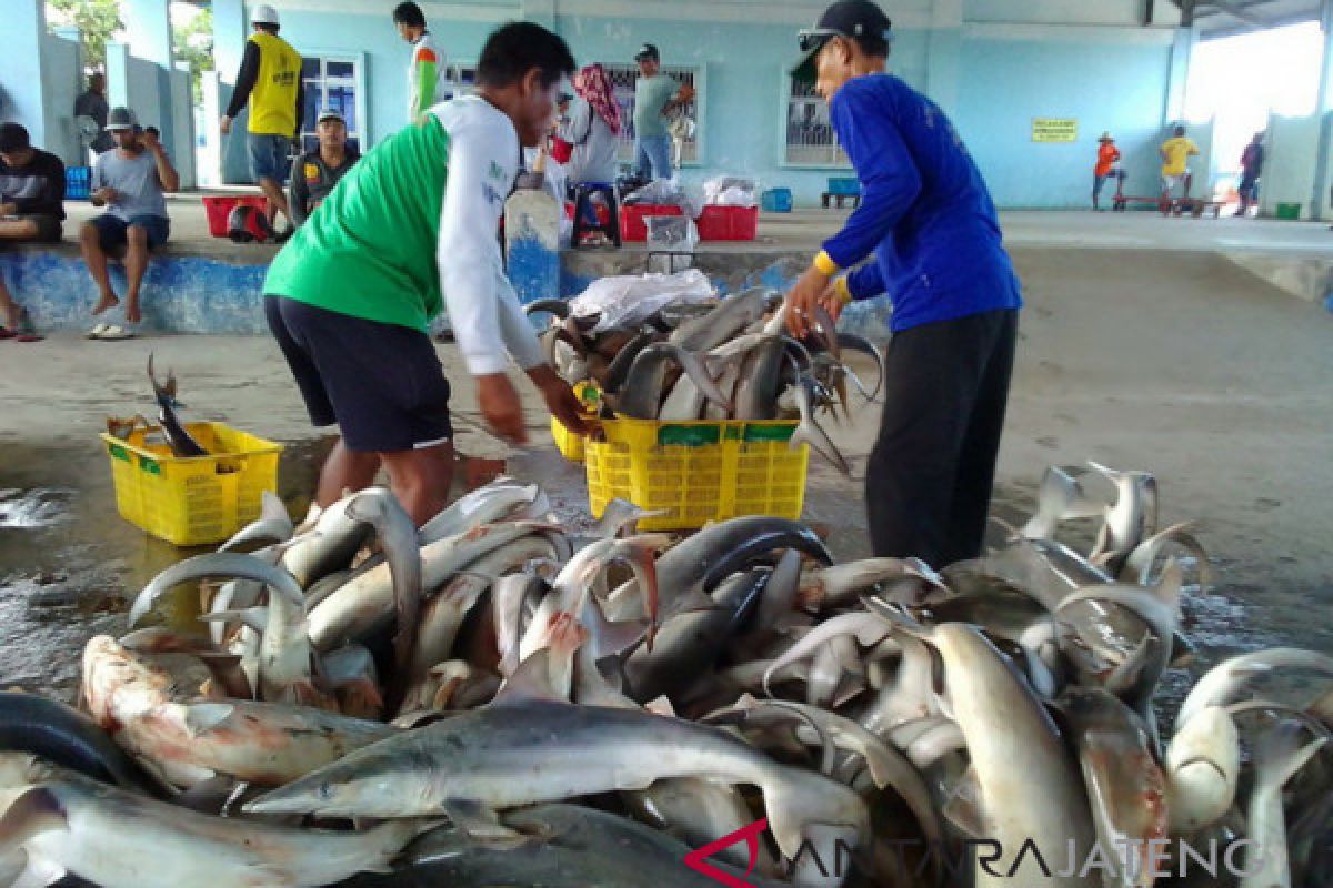 Pati susun peta jalan mutu pelayanan TPI