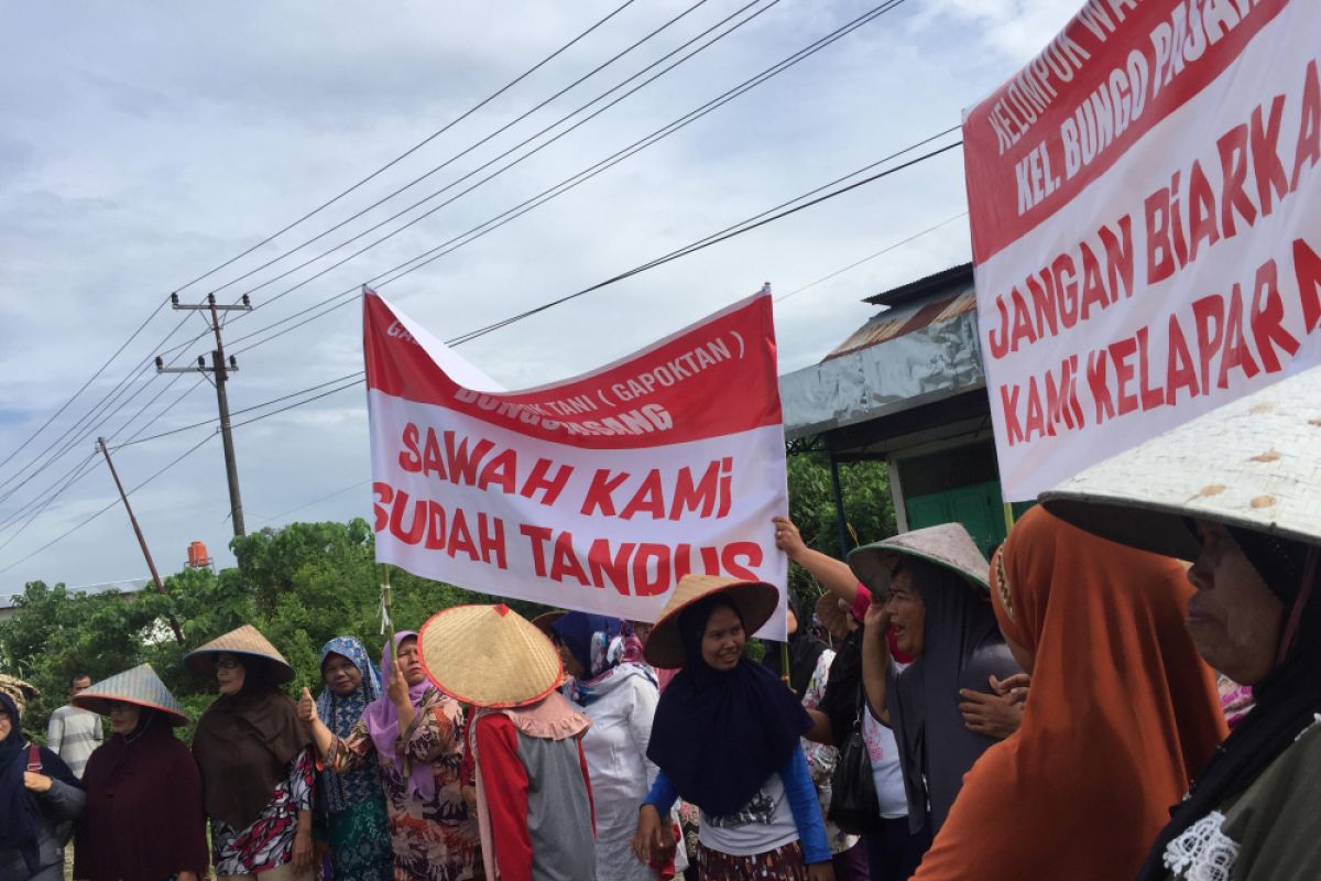 Puluhan petani unjuk rasa tuntut Pemkot Padang perbaiki irigasi Koto Pulai