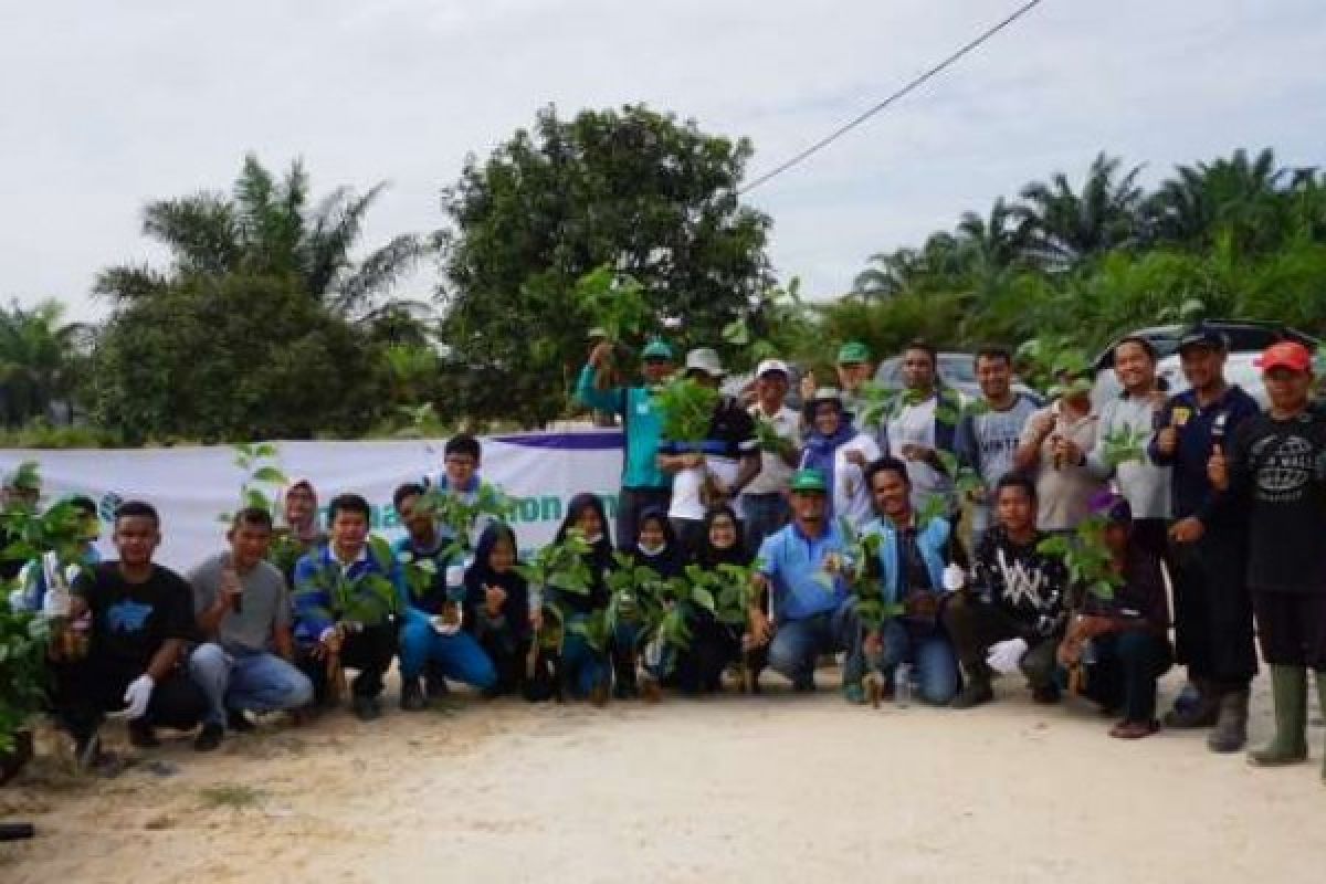 Warga Pelalawan Manfaatkan Lahan untuk Tanam Pohon