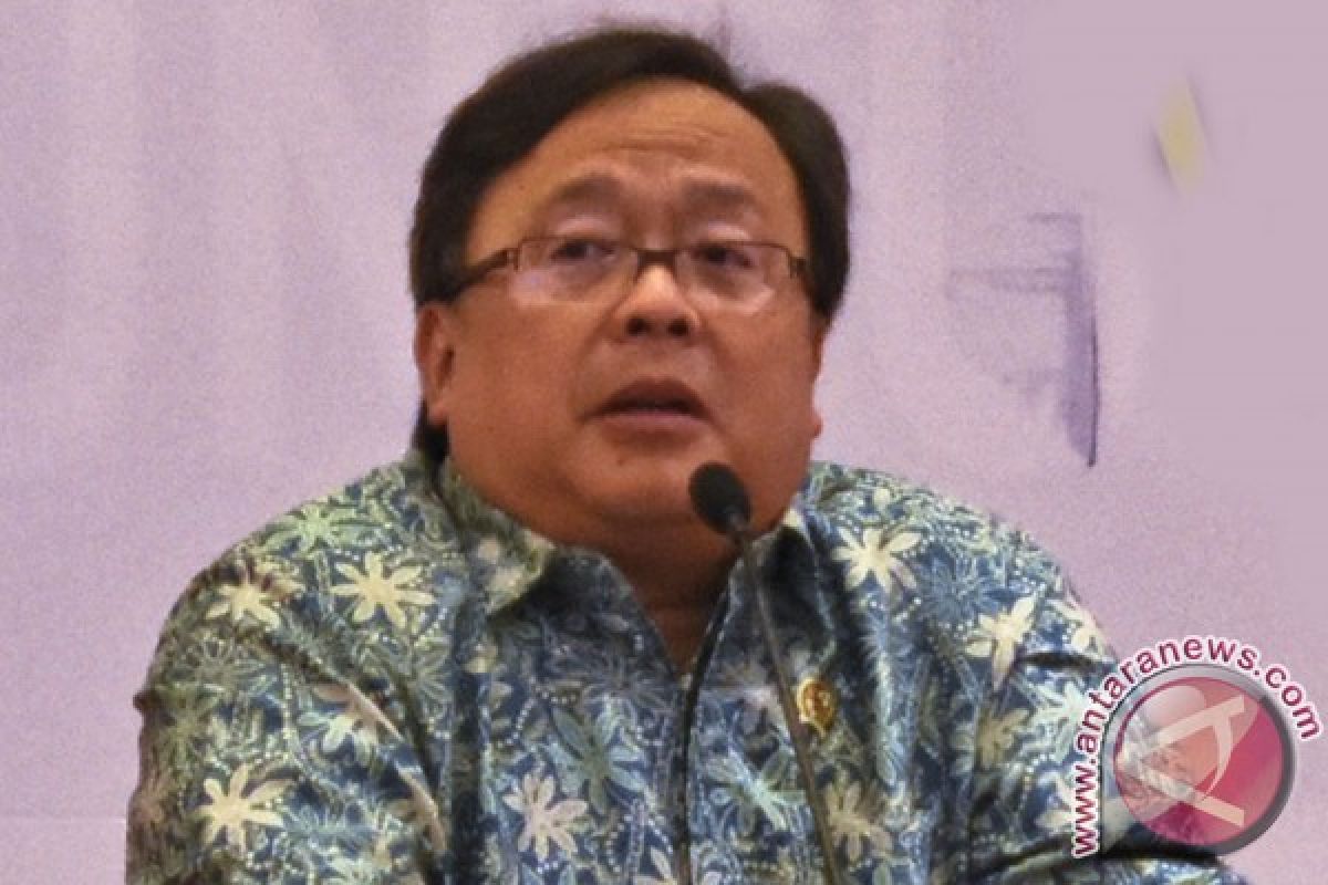 Bappenas ingin RPJMN 2020-2024 adopsi ekonomi hijau