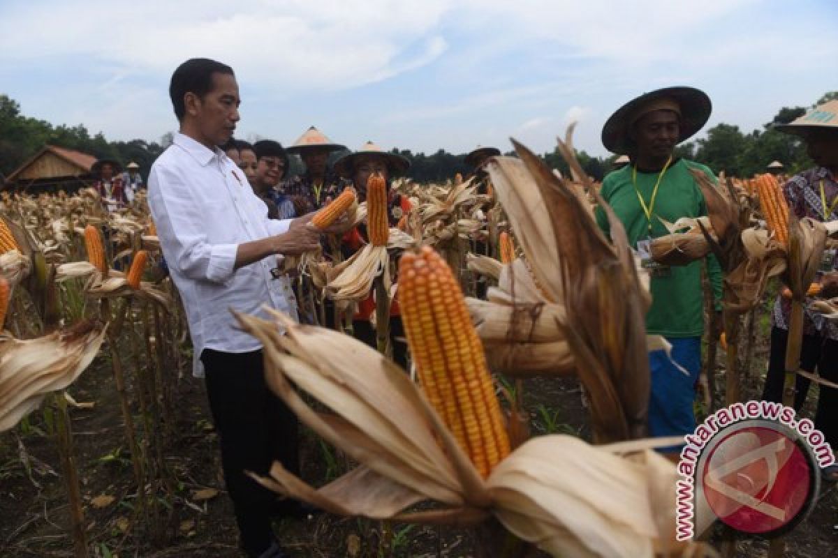 Saat Jokowi interupsi cerita ibu petani yang memujinya