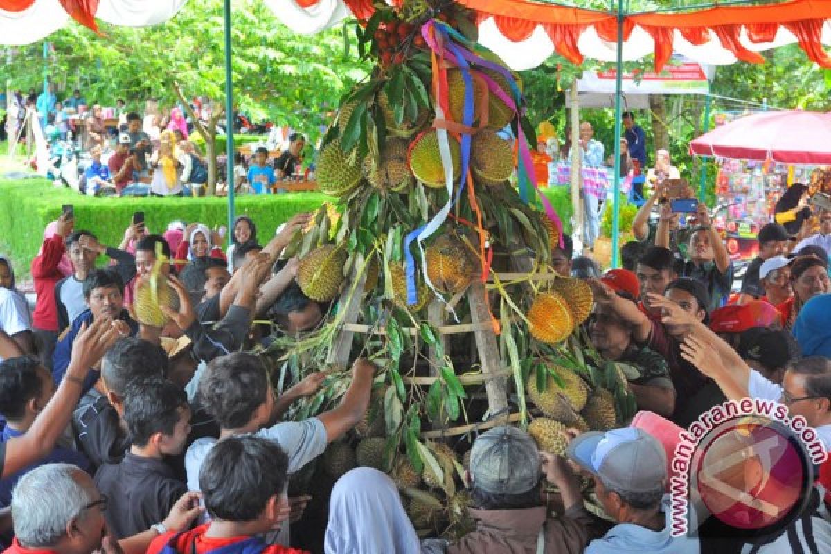 Raih Adipura, Pemkab Lebak bagikan 5.000 durian gratis