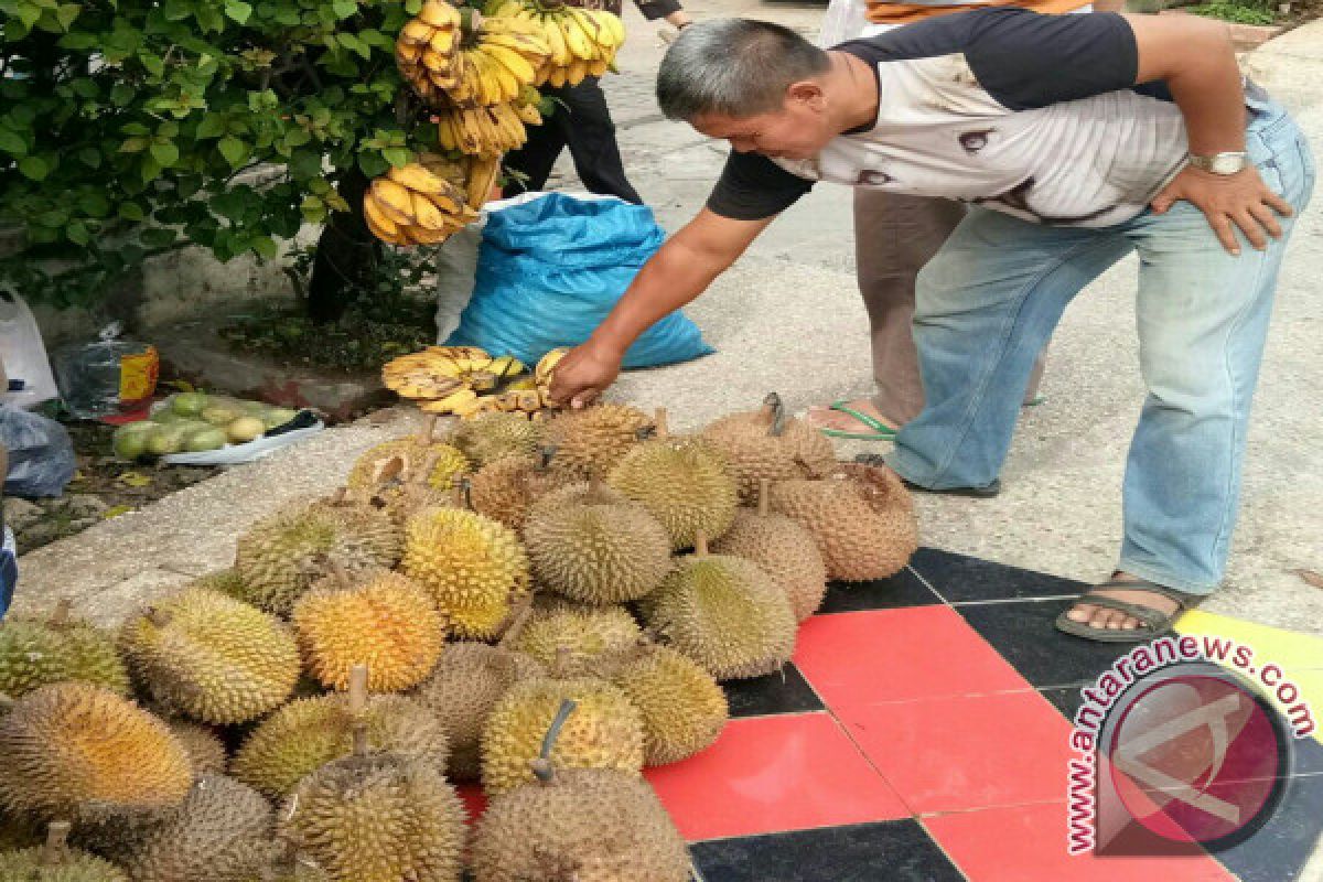 Pemprov Sumut didesak kenalkan durian lokal