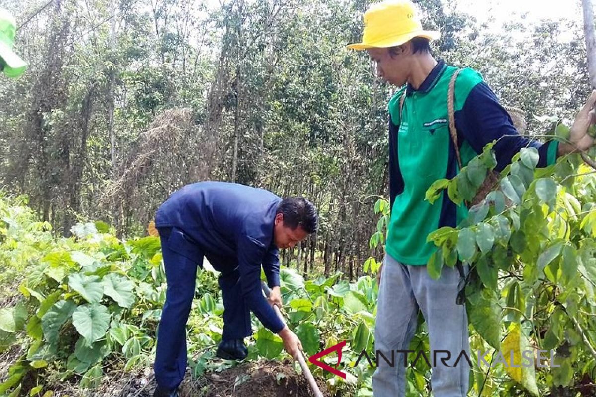 Upaya peningkatan harga karet petani belum maksimal