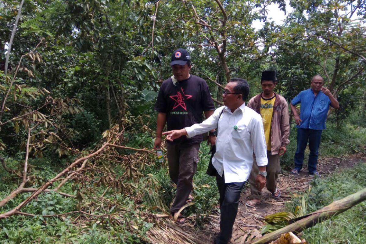 Staf KLHK Tinjau Posko dan Pohon Konservasi Laskar Hijau yang Dirusak Orang