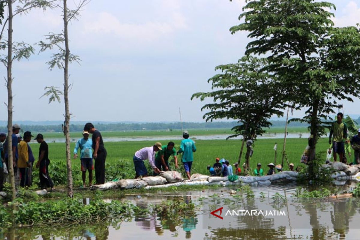 Bojonegoro Ajukan Klaim AUTP Seluas  549,064 Hektare