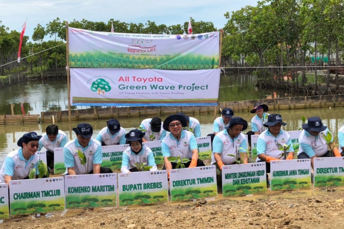 Toyota Indonesia kian hijaukan wisata mangrove di Brebes