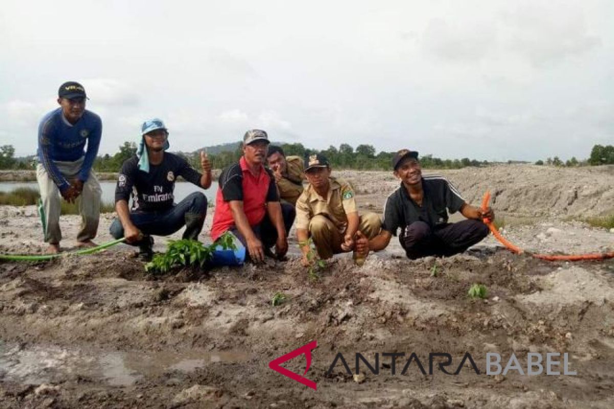 PT Timah-BUMDes selinsing reklamasi bekas tambang