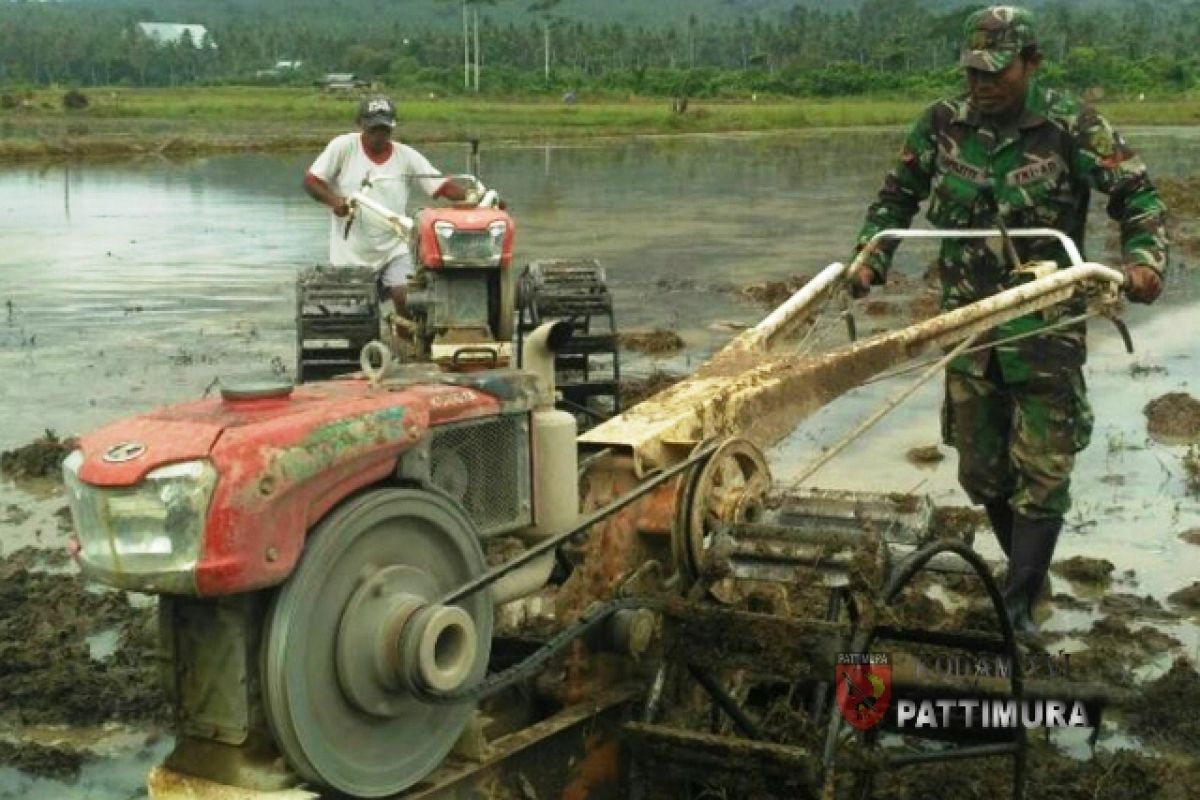 Pencetakan sawah baru di Maluku 352 hektare