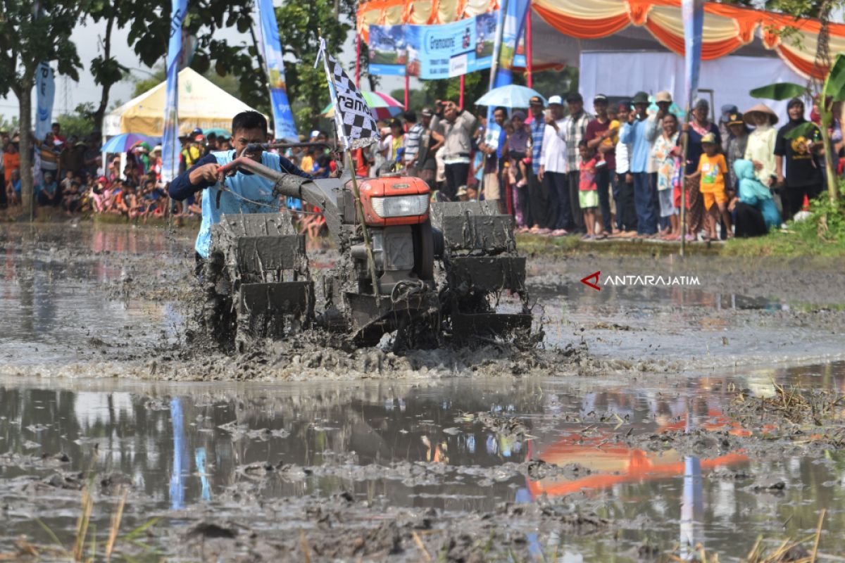 Balap Traktor Sawah