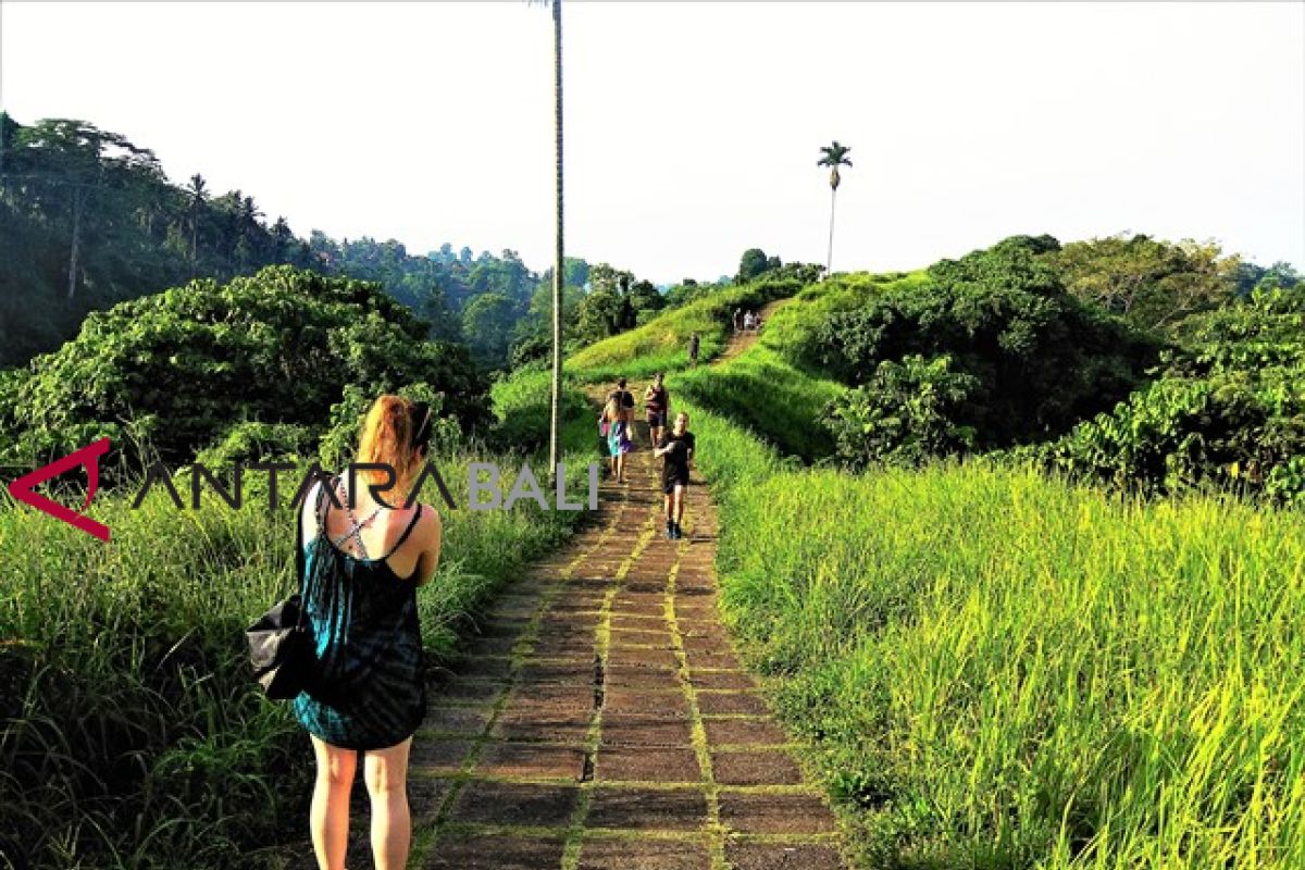 Bukit Campuhan Ubud jadi favorit turis untuk berolahraga dan rileks (video)