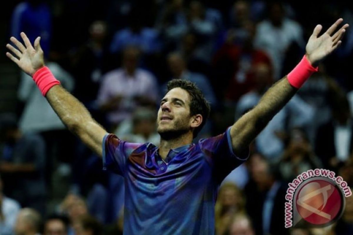 Del Potro akhiri laju kemenangan Federer di Final Indian Wells