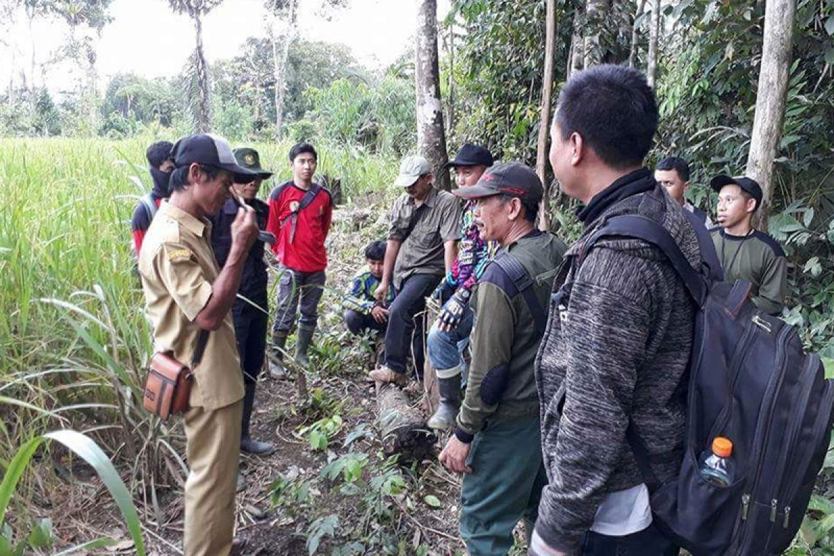 KPH Tabalong Kembangkan Agroforestry Di Kecamatan Upau
