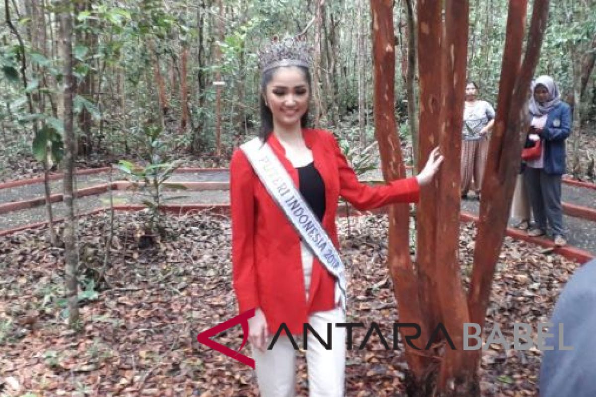 Puteri Indonesia 2018 kunjungi Hutan Pelawan (Video)