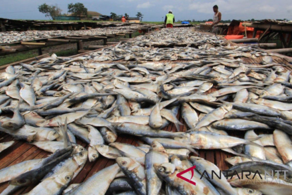 Permintaan ikan kering dari Timor Leste meningkat