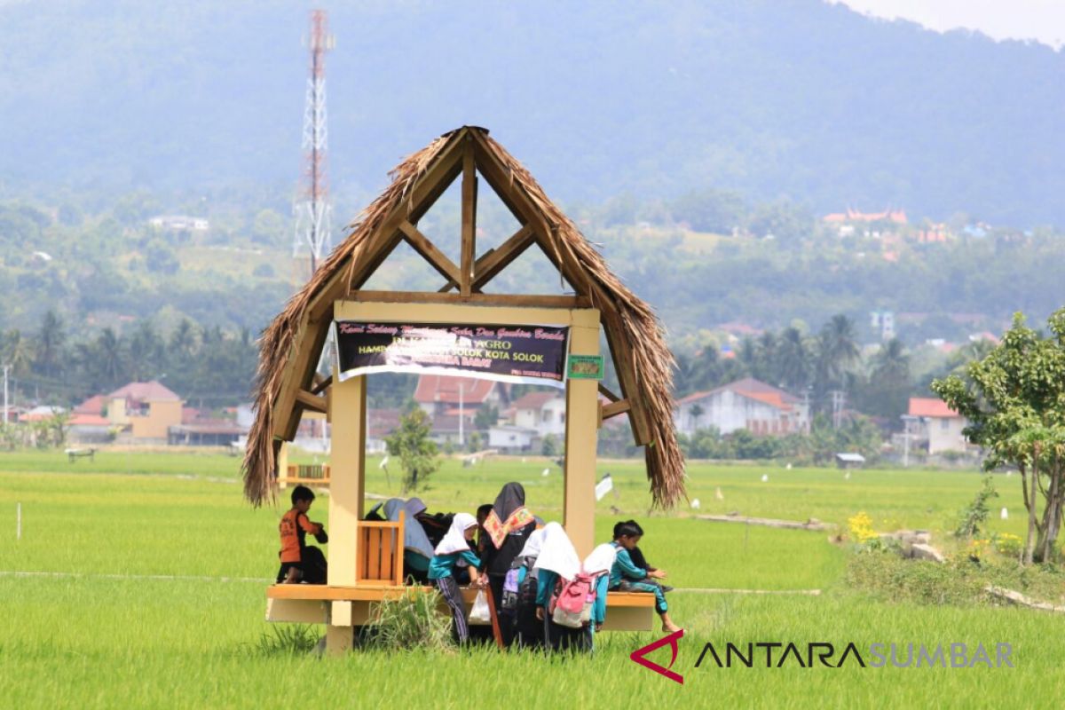 Unik, Siswa SD dan PAUD Solok Wisata Edukasi di Sawah