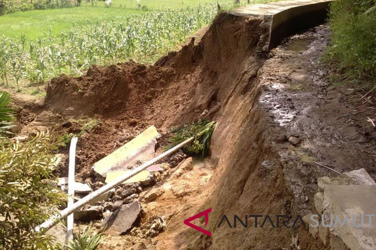 Puluhan hektare sawah di Tapsel alami kekeringan