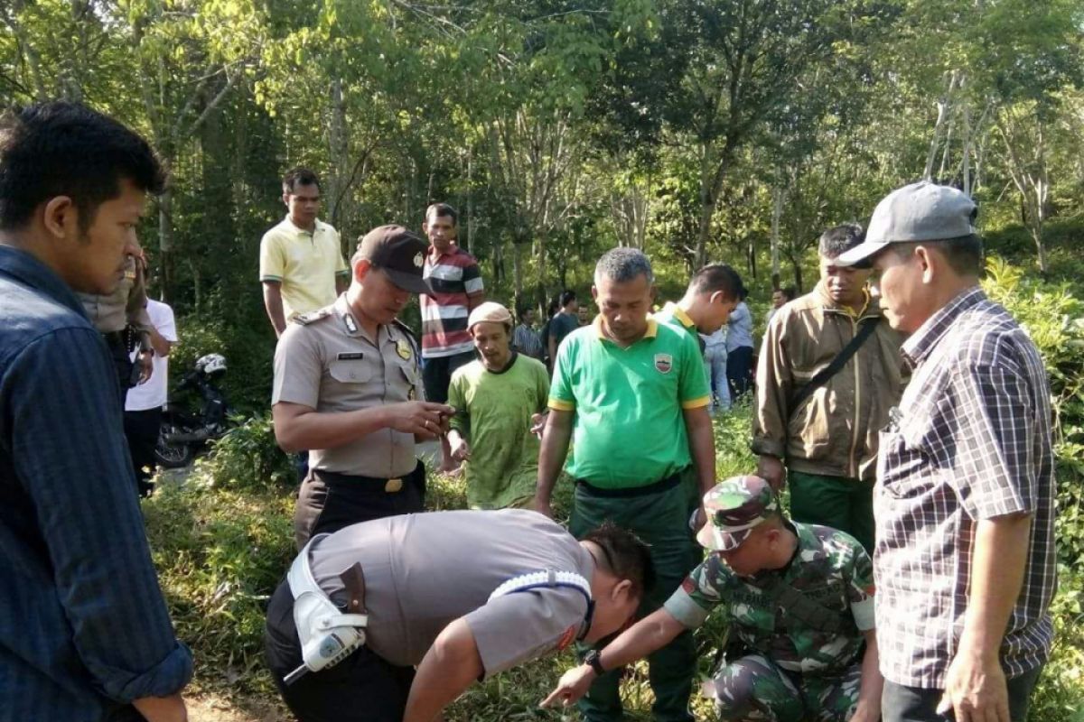 Warga Tambangan digegerkan penemuan jejak Harimau