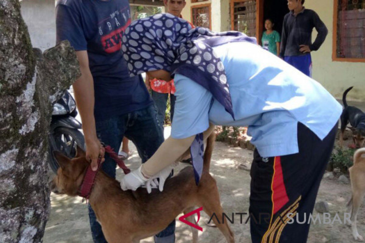 Cegah penularan rabies, Padang Panjang kenalkan bahayanya kepada pelajar