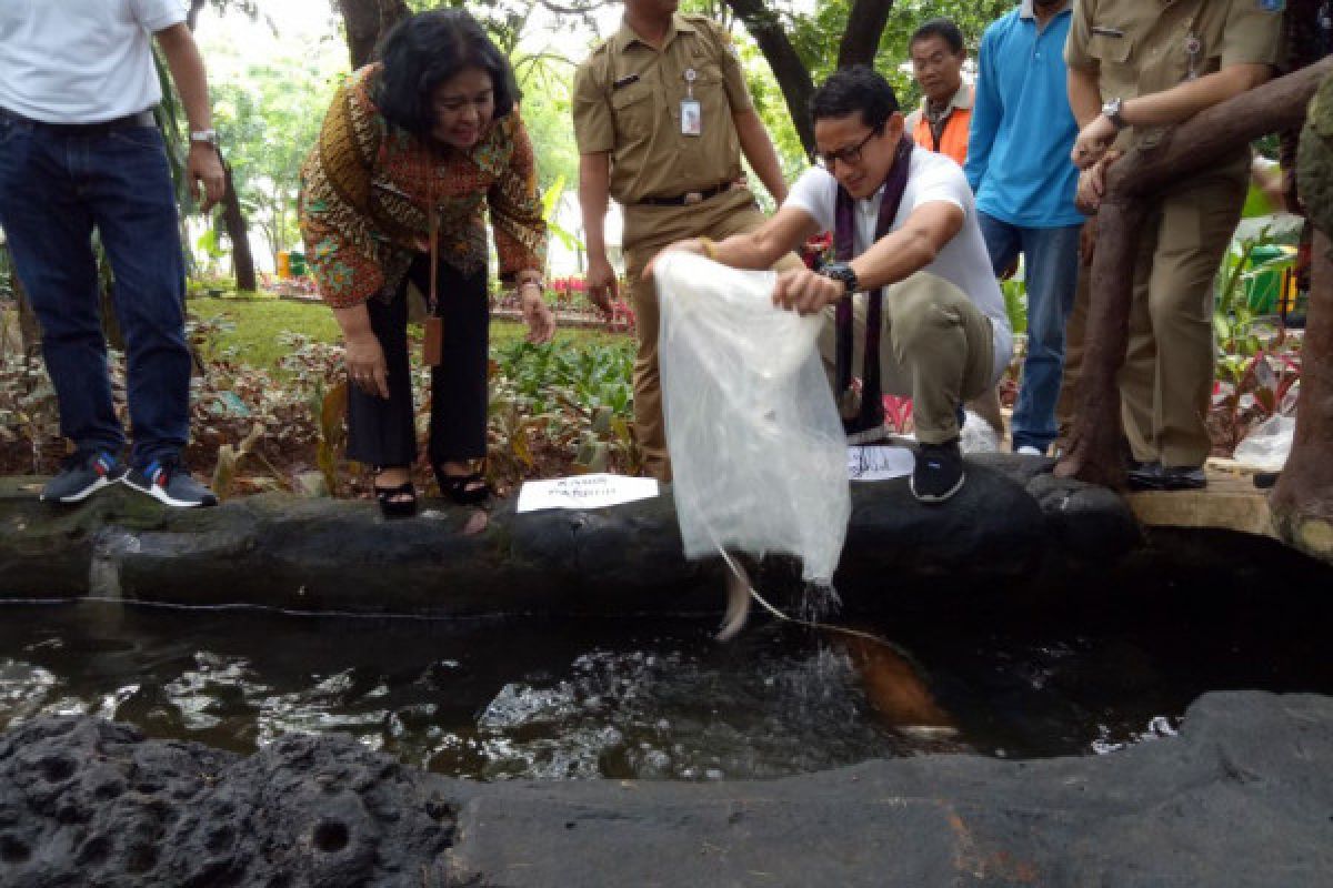 Sandiaga resmikan taman di Monas, tapi belum diberi nama