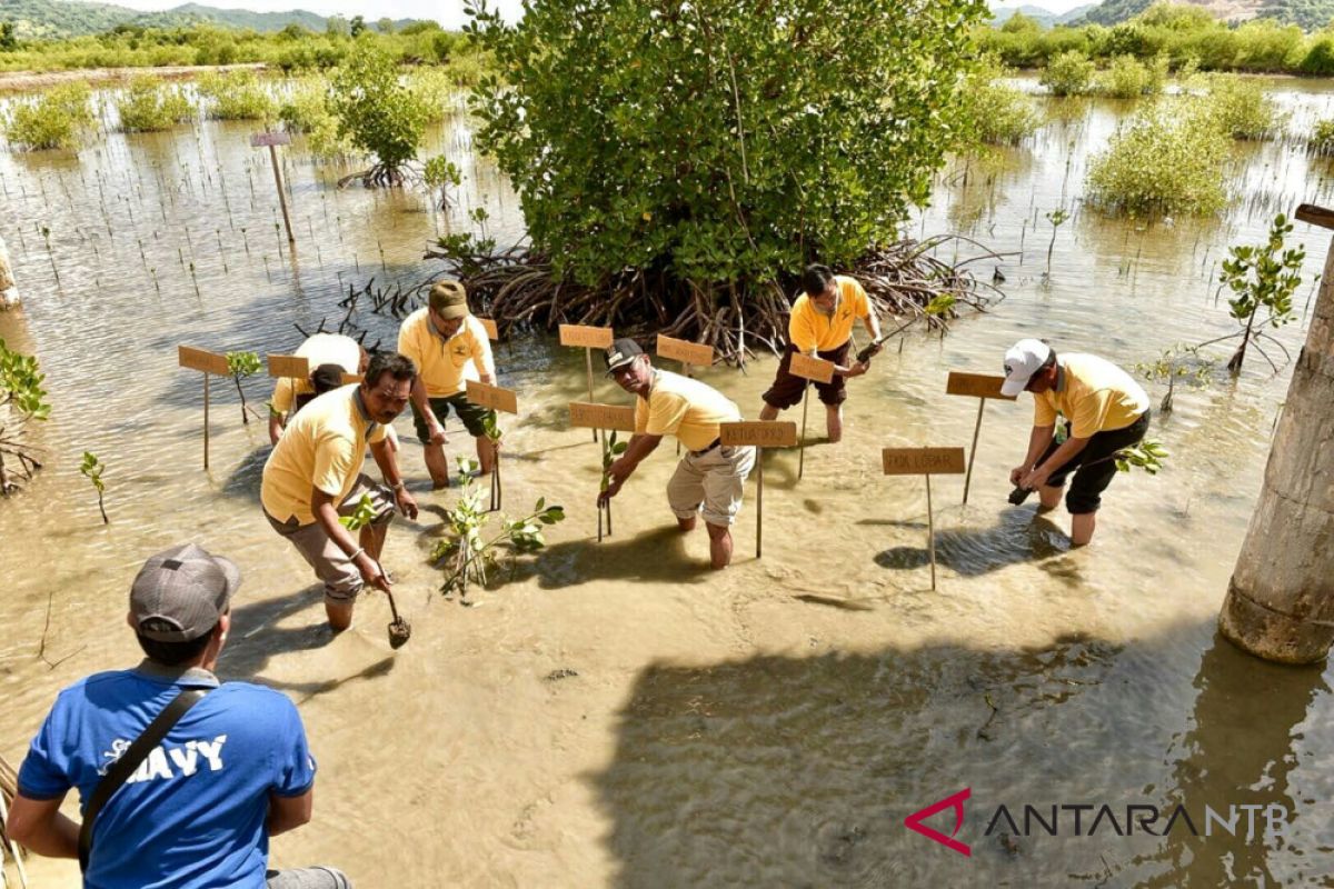 Teluk Lembar Lombok Barat dijadikan KEE mangrove