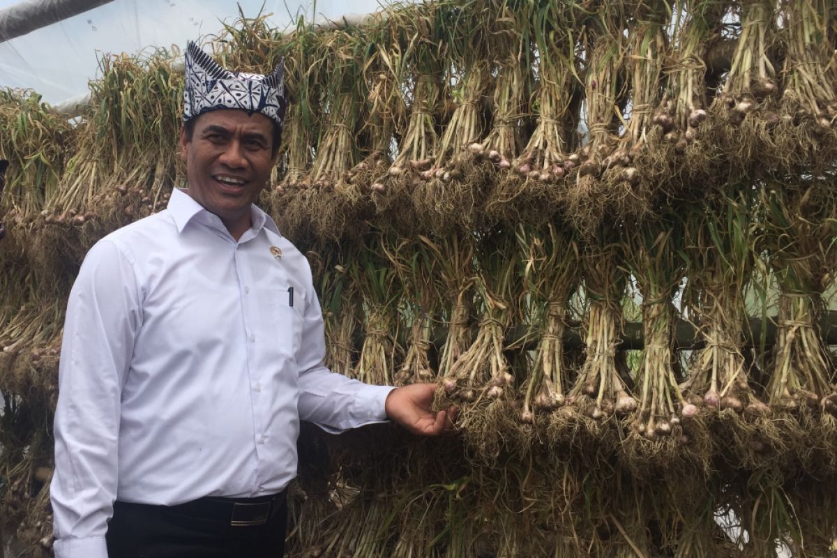 Garlic mafia can reap up to rp19 trillion: Minister