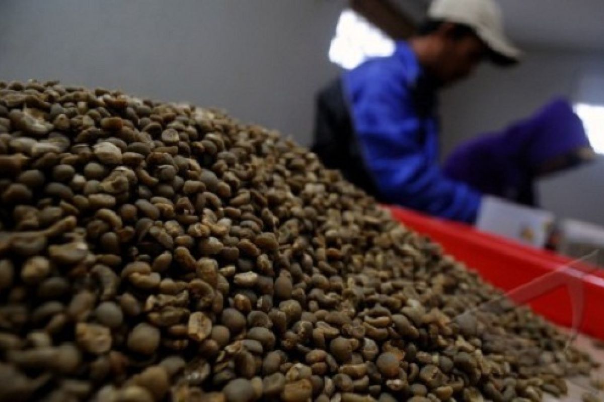 AEKI : Ekspor kopi Lampung 10.058 ton