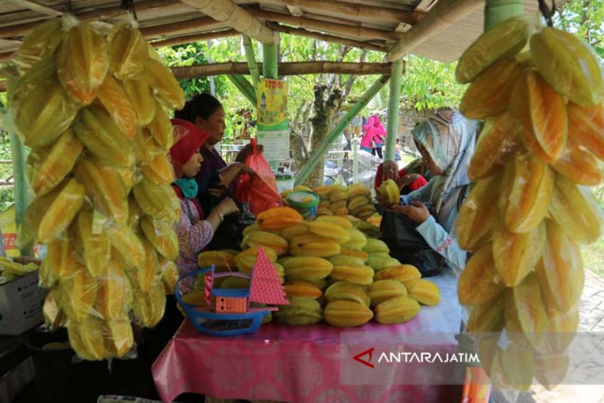 Pokdarwis Bojonegoro Kembangkan Paket Wisata Kebun Belimbing (Video)