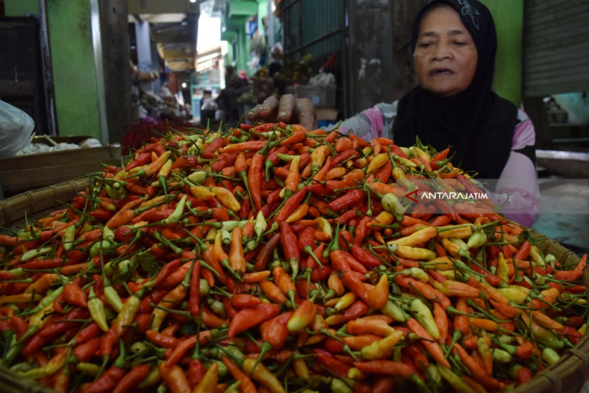 Harga cabai di sejumlah pasar Jatim mulai turun