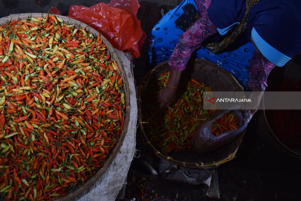 Harga Cabai Rawit Sidoarjo Masih Tinggi