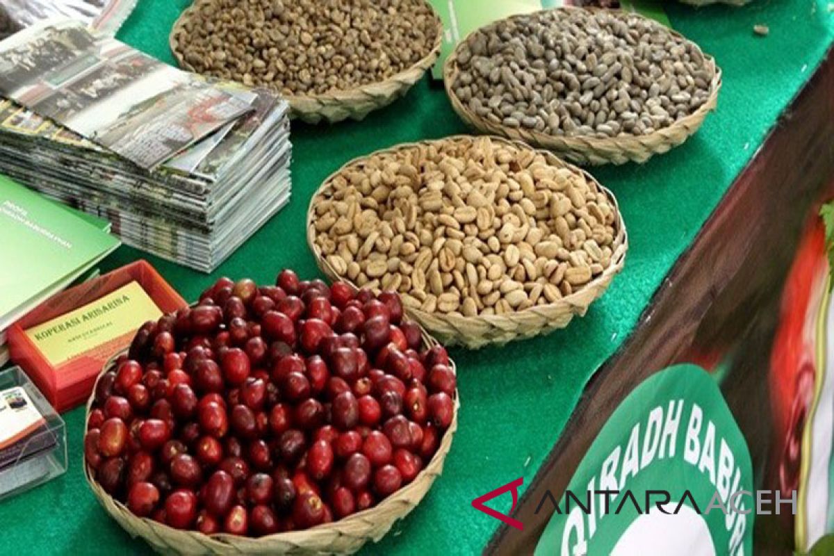 Kopi Arabika Gayo capai harga tertinggi