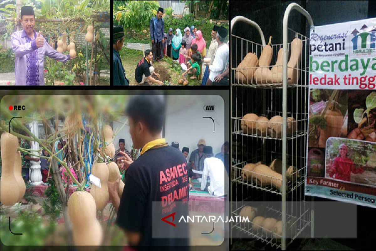 Komunitas Ngaji Tani Nusantara Kembangkan Labu Madu