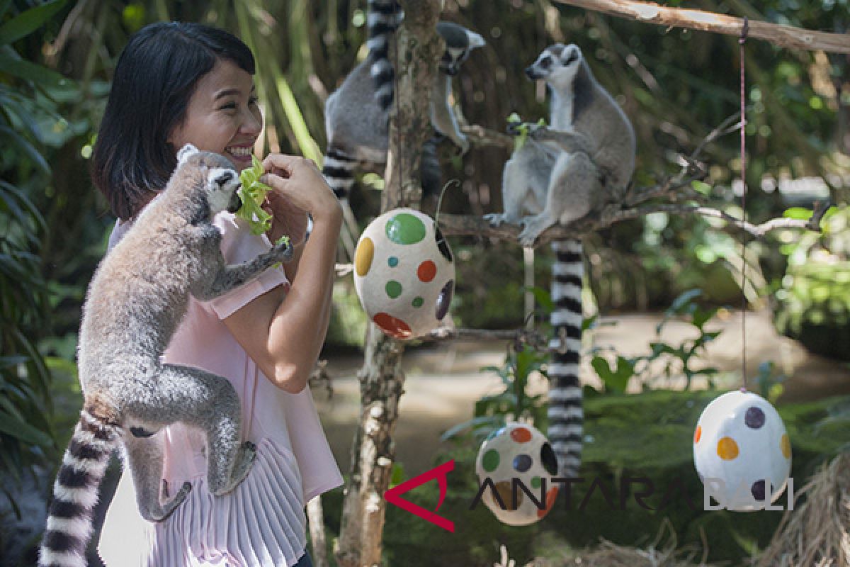 Bali Zoo's animals hunt easter eggs