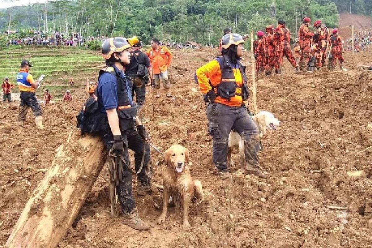 Tidak ditemukan, keluarga ikhlaskan korban hilang longsor Brebes