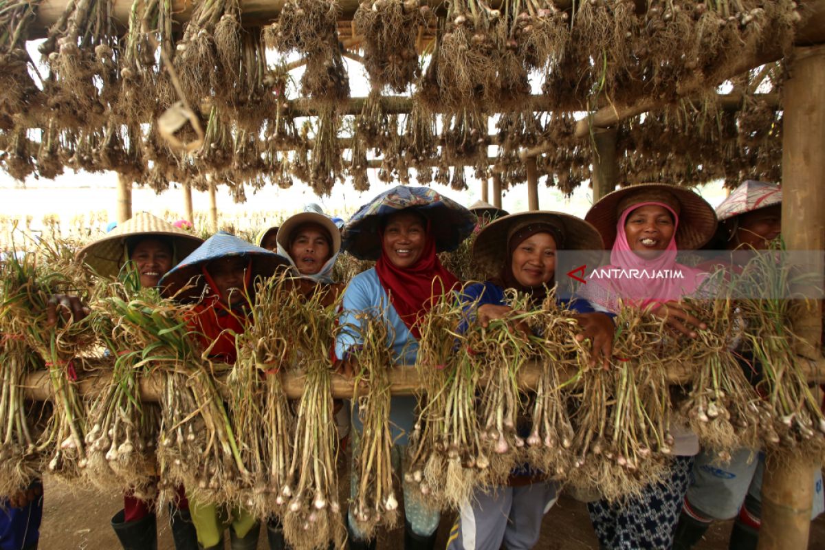 DPR Dorong Kelancaran Distribusi Bawang Putih