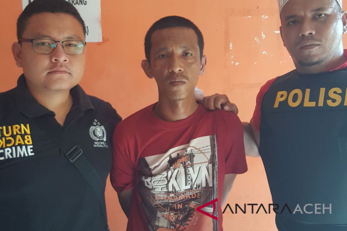 Napi Tanjung Gusta ditangkap di Singkil