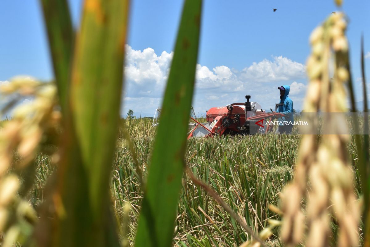 1.000 Petani Madiun Jadi Peserta Asuransi Tani