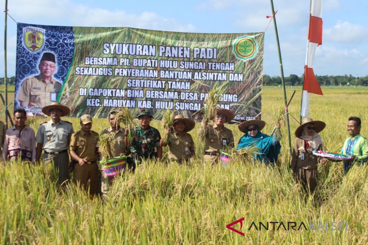 Petani HST Panen Padi Mikongga dan Imvari33