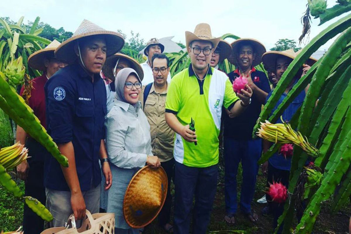 Sabisa Farm IPB menjadi trendsetter bagi perguruan tinggi di Indonesia