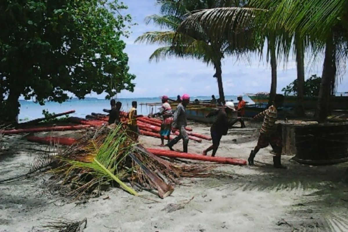 PLN segera gelar ekspedisi Papua Terang