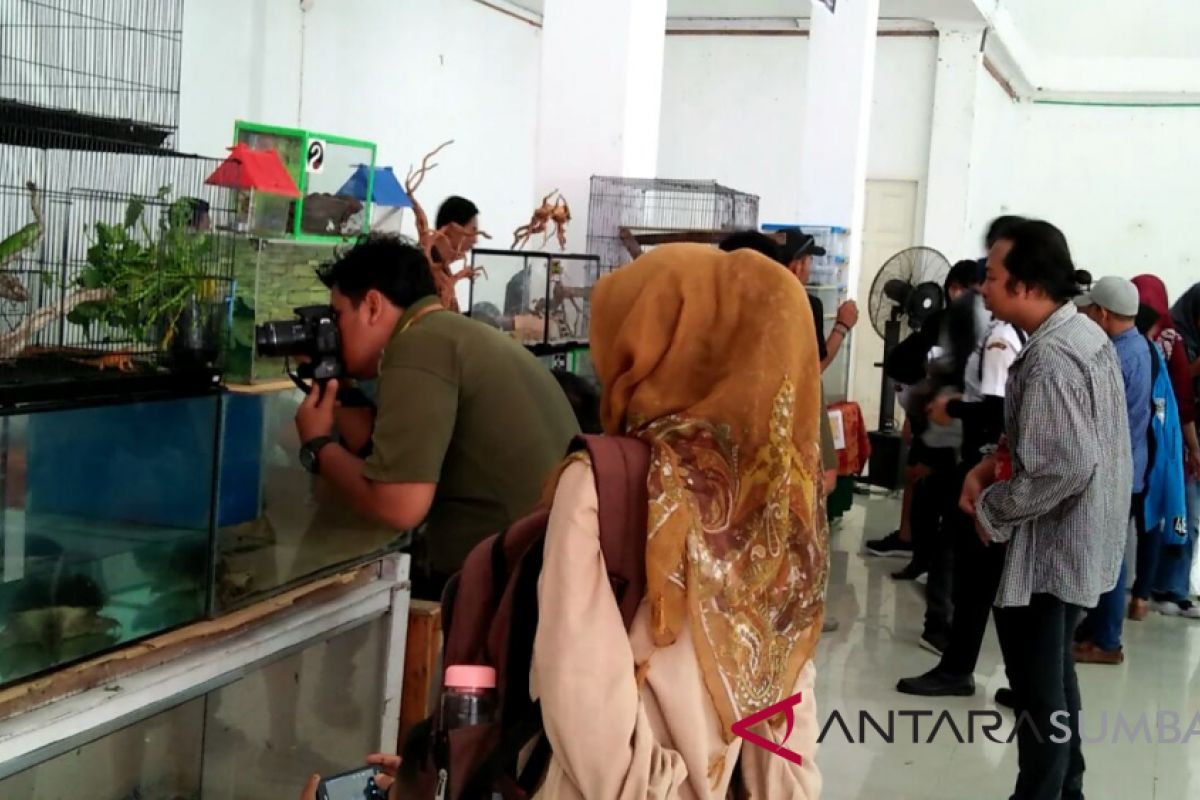 Begini cara komunitas kenalkan reptilia kepada masyarakat (video)