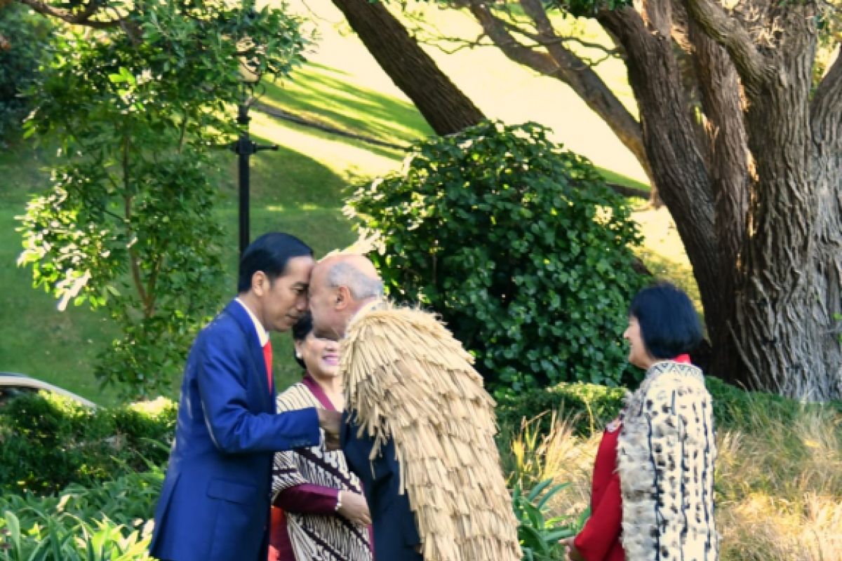 Jokowi beradu hidung dengan suku Maori