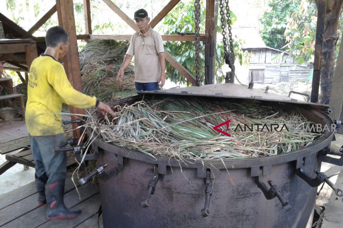 Wanginya minyak atsiri membuat petani di Solok berseri