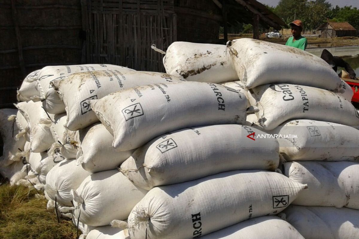 Petani Probolinggo Beramai-Ramai Jual Garamnya akibat Rencana Impor Garam