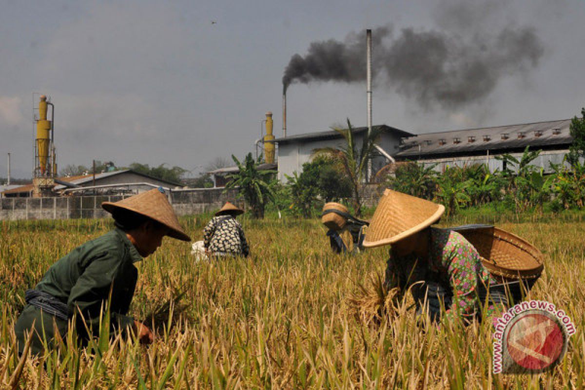 Indonesia  to create more rice fields until 2045